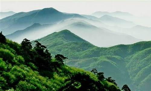 天目山旅游攻略三日游推荐理由,天目山旅游