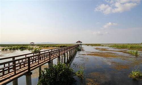 崇明岛旅游景区_崇明岛旅游攻略一日游