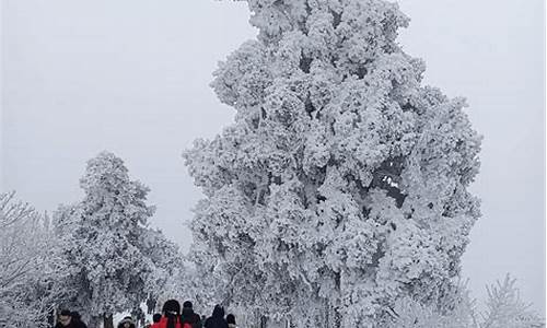 南岳衡山旅游攻略看雾凇,南岳衡山雾凇一日