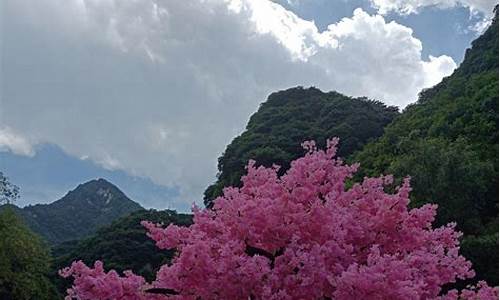 西安太平森林公园门票价格,西安太平森林公