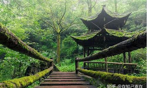 青城山都江堰旅游攻略一日游,青城山都江堰好玩吗