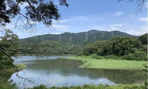 厦门天竺山森林公园简介,厦门天竺山森林公园简介资料