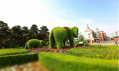 野生动物园的门票是多少_动植物公园门票多少钱一张