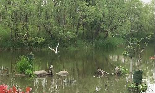 新江湾城公园露营_新江湾城生态湿地游记