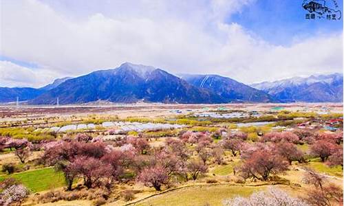 林芝旅游攻略3至4天住宿多少钱合适_林芝旅游价格