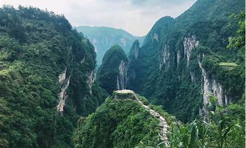 张家界旅游门票_张家界旅游景点门票价格