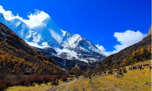 北京到稻城亚丁旅游攻略,北京到稻城亚丁旅游攻略路线