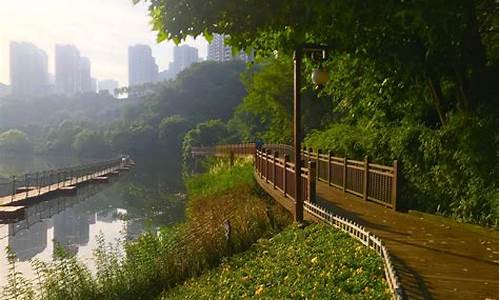 重庆湿地公园门票价格,重庆的湿地