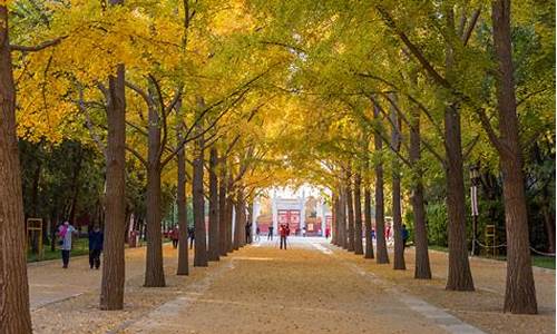 地坛公园亚运村,地坛公园锻炼