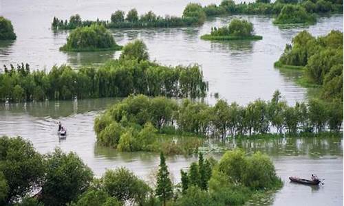 太湖湿地公园游记作文,太湖湿地公园社会实践活动报告