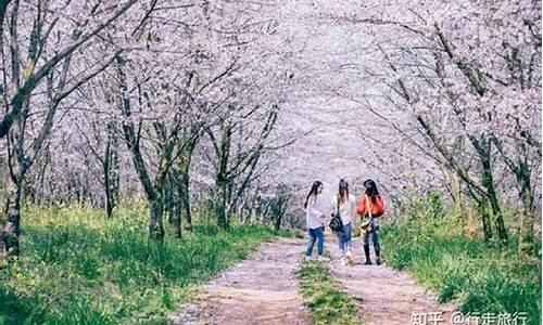 春季旅游攻略景点大全,春季旅游攻略景点大全推荐