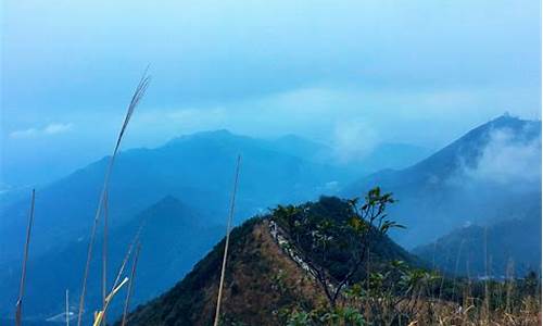 梧桐山旅游攻略大全_梧桐山一日游攻略