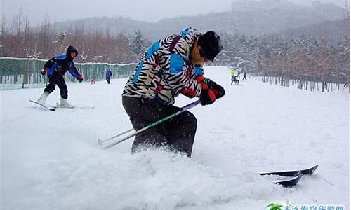 旅游滑雪大连劳动公园_大连劳动公园滑雪场开了吗2021