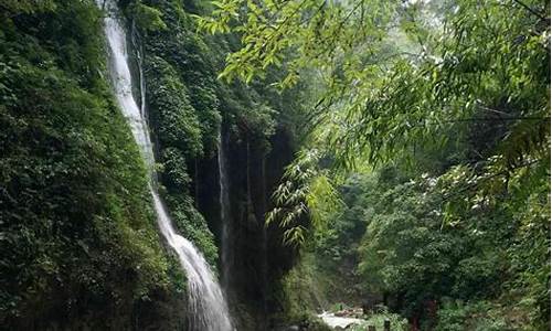 重庆黑山谷旅游攻略景点必去-重庆旅游景点黑山谷