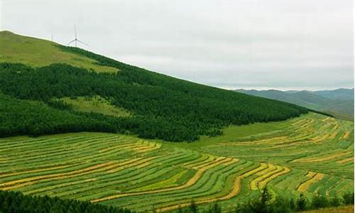 自驾游草原天路-草原天路自驾攻略十一