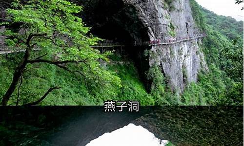 金佛山夏季旅游攻略-金佛山夏季好玩吗